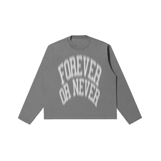 Forever or Never Longsleeve Grey